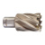 Кольцевая фреза D31*30мм (4932343287) Кольцевая фреза D31*30мм (4932343287)
